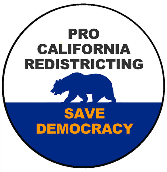 Redistricting to Save Democracy Pin