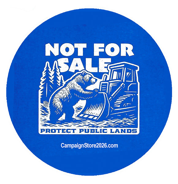 Not For Sale Pin