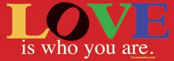 Love is Who You Are Bumper Sticker