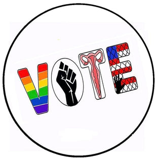 VOTE (many reasons) Campaign Pin